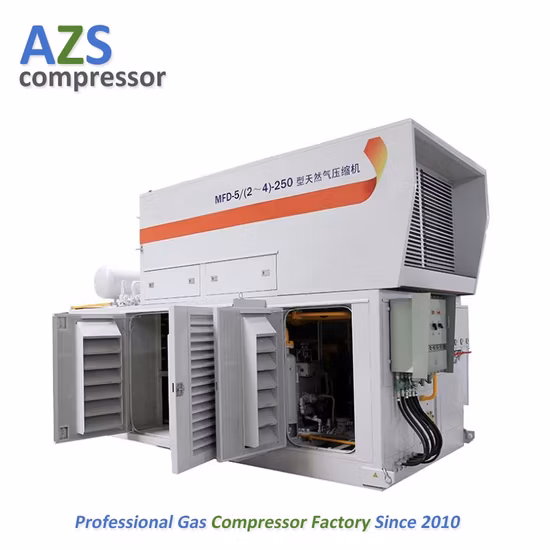 Compressore industriale a pistoni oil-free ad alta pressione (CNG, CO, CO2, BOG, LNG, GPL, gas composti, sintesi, idrogeno, metano, gas naturale).