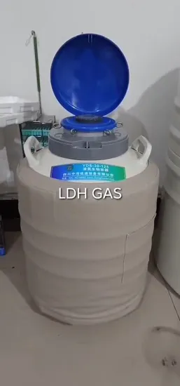 Ldh Small Industrial Biology Institute 20L Liquid Nitrogen Generator