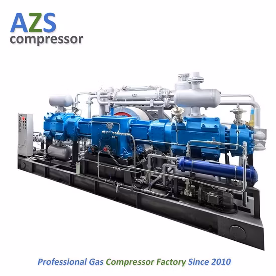 Compressore a pistoni idraulici per gas naturale di vendita calda per stazione di servizio CNG