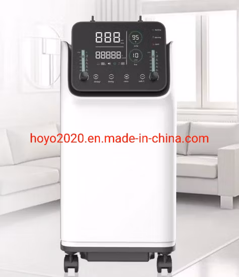 Concentratore di ossigeno medico Generatore di ossigeno Concentratore di ossigeno da 10 litri Cina