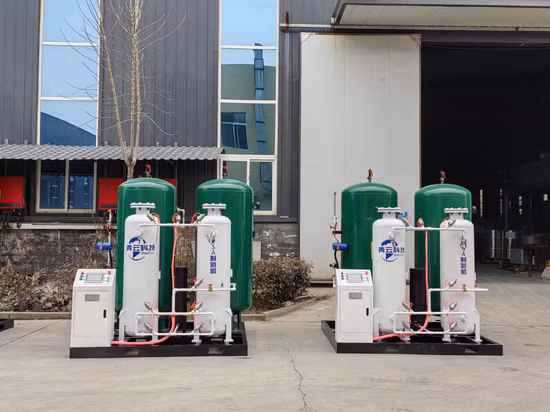 Generatore industriale di ossigeno 20nm3/H Psa