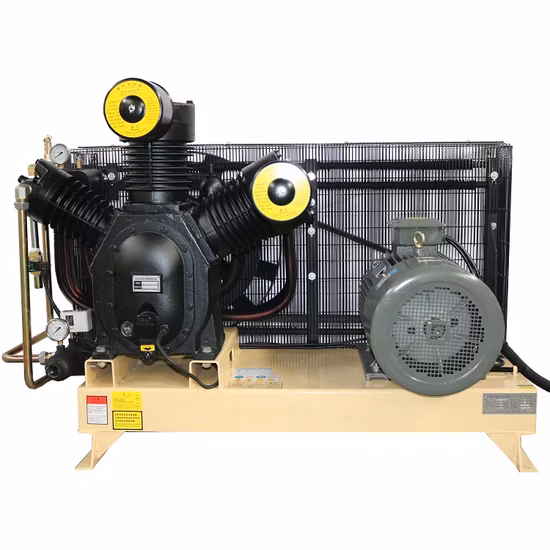 Macchina industriale per compressore a pistone per aria e gas con pistone booster da 30/40 bar, CA elettrica, pressione medio-alta, 3 MPa/435 psi, parti a membrana, raffreddato ad olio
